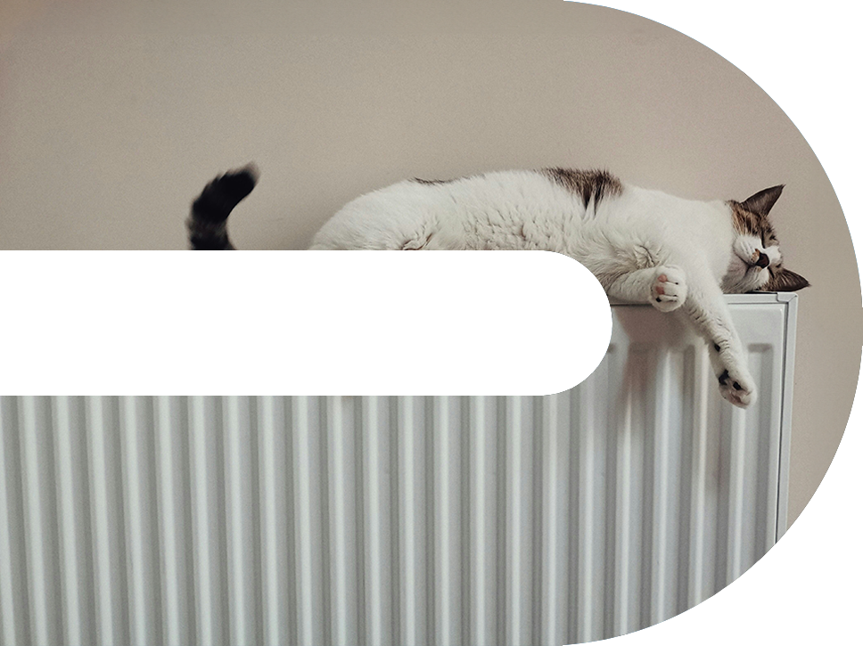 Cat asleep on a radiator